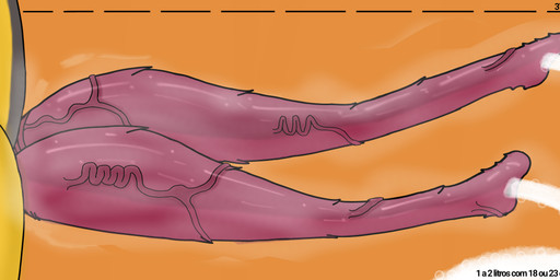 2_penises animal_genitalia animal_penis anthro big_penis bodily_fluids cum egg ejaculation erection excessive_cum excessive_genital_fluids genital_fluids genitals gynomorph intersex multi_genitalia multi_penis musk musky_penis nude oviposition penile_spines penis simple_background slit_penis smelly_penis solo tapering_penis unwashed vein veiny_penis yellow_body torielle69 katarina_flowerbloom arthropod bee hymenopteran insect absurd_res digital_media_(artwork) hi_res signature