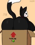 anthro big_butt black_body black_fur box breasts butt cartoon_eyes cartoon_gloves collar container crossgender female fur gem huge_butt profanity solo tail text white_body white_fur paladyart98 brawl_stars supercell_(company) kit_(brawl_stars) domestic_cat felid feline felis mammal absurd_res english_text hi_res