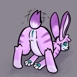 anthro blush butt female fur genitals looking_at_viewer looking_back nude presenting presenting_hindquarters presenting_vulva raised_tail rear_view solo tail tail_motion tailwag vulva cupoflavender lavender_(cupoflavender) lagomorph leporid mammal rabbit 1:1 digital_media_(artwork)