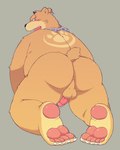 all_fours anthro balls blush brown_body butt chain erection genital_piercing genitals kemono male overweight overweight_male penis penis_piercing piercing prince_albert_piercing simple_background solo flappydog bear mammal 2017 4:5 hi_res