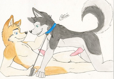 animal_genitalia animal_penis anthro blue_eyes canine_genitalia canine_penis collar dominant dominant_male duo erection genitals holding_leash holding_object knot leash leash_pull male male/male penis submissive submissive_male blackmailz canid canine canis domestic_dog husky mammal nordic_sled_dog spitz