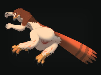 andromorph andromorph_anthro anthro beak beak_closed black_background black_eyes brown_body brown_feathers butt closed_smile feathers genitals grey_talons humanoid_genitalia humanoid_vulva intersex intersex_anthro lying mouth_closed nude_andromorph nude_anthro on_side orange_beak orange_scutes scutes simple_background smile solo tan_body tan_feathers vulva buteoposting accipitrid accipitriform avian bird full-length_portrait hi_res portrait trans_(lore) trans_man_(lore)