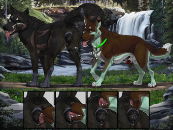 anal anatomically_correct anatomically_correct_genitalia anatomically_correct_penis anatomically_correct_vulva animal_genitalia animal_penis animal_vulva anus balls black_vulva blue_eyes bodily_fluids brown_body brown_fur canine_genitalia canine_penis canine_vulva cunnilingus detailed_background dominant dominant_female dominant_feral duo female female_feral feral feral_on_feral fur genital_fluids genitals green_body green_fur larger_female larger_feral looking_back male male/female male_feral nature open_mouth oral penetration penis penis_tip precum precum_squirt red_penis rimming saliva sex size_difference smaller_feral smaller_male smile thigh_leash tongue tongue_out tongue_penetration vaginal vulva waterfall truegrave9 hiona sheppermint canid canine canis domestic_dog german_shepherd herding_dog mammal pastoral_dog wolf 2025 comic hi_res