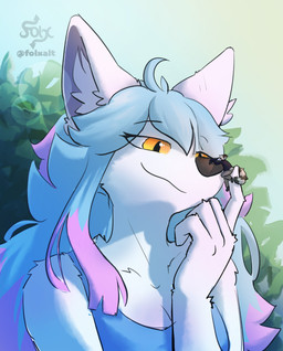 ambiguous_gender anthro blue_hair blue_top clothing day duo female fur hair holding_another inner_ear_fluff larger_female macro markings orange_eyes pink_hair_tips size_difference smaller_ambiguous striped_markings striped_tail stripes tail tail_markings tuft white_body white_fur white_inner_ear_fluff folxalt freya_(frostttz) frost_(frostttz) canid canine fox mammal procyonid raccoon absurd_res hi_res signature
