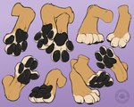 4_toes ambiguous_gender anthro black_pawpads brown_body brown_fur crossed_feet feet foot_focus foot_shot fur hindpaw pawpads paws purple_background simple_background solo tan_body tan_fur tan_toes toes carifoxleopard absurd_res hi_res