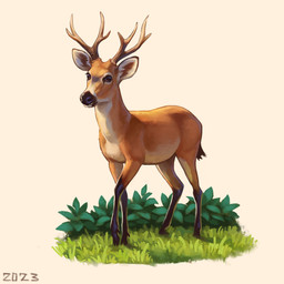 antlers belly black_eyes black_legs black_nose feral fur grass horn male plant short_tail simple_background solo tail tan_body tan_fur walking white_background white_belly alexpahomov deer mammal marsh_deer new_world_deer 2023