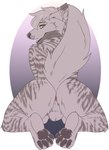 all_fours anus balls facial_piercing feet fluffy fluffy_tail fuzzy genitals hindpaw looking_at_viewer looking_back paws piercing presenting presenting_anus rear_view simple_background striped_body stripes tail starryprince cizek hyena mammal striped_hyena absurd_res hi_res