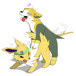 duo female feral male male/female sex karitom nintendo pokemon boltund eeveelution generation_1_pokemon generation_8_pokemon jolteon pokemon_(species) 1:1 hi_res tagme