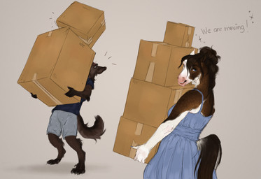 anthro blue_clothing blue_dress blue_eyes blue_shirt blue_t-shirt blue_topwear bottomwear box brown_body brown_eyes brown_fur brown_hair brown_tail clothed clothing container dress duo female female_anthro fur grey_bottomwear grey_clothing grey_shorts hair holding_box holding_container holding_object looking_at_viewer male male_anthro narrowed_eyes open_mouth open_smile shirt shorts simple_background smile standing t-shirt tail topwear white_body scarlanya scarla_(scarlanya) canid canine equid equine horse mammal hi_res