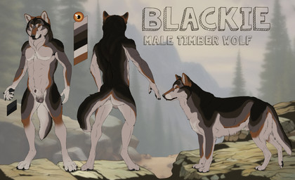 animal_genitalia animal_penis anthro balls black_body black_fur black_sheath_slit brown_markings canine_genitalia canine_penis closed_sheath_slit feral front_view fully_sheathed fur genitals grey_balls grey_body grey_fur male male_anthro male_feral markings mouth_closed nude orange_eyes outside penis rear_view rock sheath sheath_slit side_view solo standing kodaac blackie_wolf canid canine canis mammal wolf absurd_res hi_res model_sheet