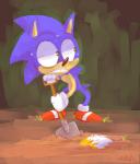 anthro big_eyes big_head bodily_fluids corpse death digging duo holding_object holding_tool male nervous outside scared shovel solo_focus spade_(shovel) sweat tools toony worried vaporotem sega sonic_the_hedgehog_(series) miles_prower sonic_the_hedgehog canid canine fox mammal 2013 signature