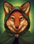 ambiguous_gender anthro green_background green_eyes hood looking_at_viewer simple_background solo whiskers goldendruid canid canine fox mammal 2018 digital_media_(artwork) headshot_portrait portrait