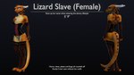 anthro biped black_background claws clothing collar corset female flat_chested horn legwear lingerie multicolored_body orange_body orange_scales scales simple_background solo tail text thigh_highs toe_claws topwear yellow_body ruaidri lizard_slave_girl_(ruaidri) reptile scalie 16:9 2023 3d_(artwork) digital_media_(artwork) english_text hi_res widescreen