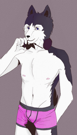 5_fingers anthro blue_eyes boxer_briefs claws clothed clothing electronics fingers front_view fur grey_body grey_fur headgear headphones headset looking_at_viewer male navel nipples pink_clothing pink_underwear simple_background skimpy smile solo standing topless underwear underwear_only white_body white_fur discaria canid mammal source_request