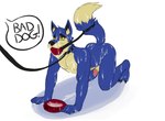 all_fours anthro athletic athletic_anthro athletic_male ball_gag bdsm blue_body blue_fur bodily_fluids bondage bound bowl butt claws collar container cuff_(restraint) cum cum_covered cum_drip cum_in_bowl cum_in_container cum_on_arm cum_on_body cum_on_butt cum_on_chest cum_on_face cum_on_feet cum_on_ground cum_on_hand cum_on_leg cum_on_penis cum_on_tail degradation dialogue dripping fangs feet fur gag gagged genital_fluids genitals glans humanoid_genitalia humanoid_penis leash male messy nude offscreen_character penis pet_bowl petplay profanity restraints roleplay scolding simple_background solo speech_bubble submissive submissive_male tail tail_bondage tail_cuff tail_tied tan_body tan_fur teeth text toe_claws hicanyoumooforme neopets jeran_(neopets) canid canine lupe_(neopets) mammal neopet_(species) english_text