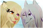 accessory anthro duo ear_piercing eyelashes facial_piercing female femboy fluffy fur grey_body grey_fur grey_hair hair hair_accessory hairpin heterochromia long_eyelashes long_hair male male/female nose_piercing orange_eyes piercing purple_eyes simple_background tan_body tan_fur tongue tongue_out xredpandax ammy_fluff_(character) tsukiko_hanako_(character) canid canine canis cougar felid feline fox mammal wolf digital_media_(artwork) shaded