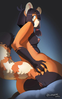 4_toes anthro anus barefoot bed black_hair breasts butt butt_grab claws clothing feet female fluffy fluffy_tail furniture grey_clothing grey_topwear hair hand_on_butt nipples nude on_bed presenting presenting_anus selfie shy side_view slim soles solo spread_butt spreading tail toes topwear luxar92 ressa_(luxar92) ailurid mammal red_panda hi_res