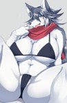 anthro big_breasts black_clothing black_topwear black_underwear blue_eyes blush breasts camel_toe chest_tuft cleavage clothed clothing eyebrow_through_hair eyebrows female front_view fur grey_background grey_body grey_fur grey_hair hair kemono looking_at_viewer midriff multicolored_body multicolored_fur multicolored_hair navel nipple_outline pink_tongue red_clothing scarf simple_background skimpy solo spread_legs spreading swimwear tongue tongue_out topwear translucent translucent_hair tuft two_tone_body two_tone_fur two_tone_hair underwear white_body white_fur white_hair sgsix canid canine canis mammal wolf