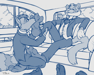 3_toes anthro big_feet biped black_clothing black_footwear black_socks car clothed clothed_anthro clothed_male clothing detailed_background discarded_clothing discarded_footwear dominant dominant_male duo feet foot_fetish foot_grab foot_on_crotch foot_play footwear formal_wear inside_car inside_vehicle kiss_on_foot kissing kneeling loafers male male/male male_anthro shoeless sitting socks submissive submissive_male suit toe_outline toes toony vehicle teaselbone mammal mustelid musteline procyonid raccoon true_musteline weasel 2025 blue_and_white digital_drawing_(artwork) digital_media_(artwork) hi_res monochrome signature