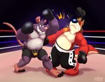 anthro belly bottomwear boxing boxing_gloves bulge clothing detailed_background duo fight fighting_ring handwear male musclegut muscular nipples pink_nose red_body shorts sport mezasalvador canid canine canis domestic_dog mammal murid murine rat rodent 2022 absurd_res hi_res