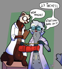 anthro balls big_balls eyewear female genitals glasses measuring measuring_penis penile_spines penis standing talking_to_another tape_measure wearing_glasses conditional_dnp fylumi femlumi_(fylumi) tuko_(tukoferret) domestic_ferret mammal mustelid musteline true_musteline weasel hi_res