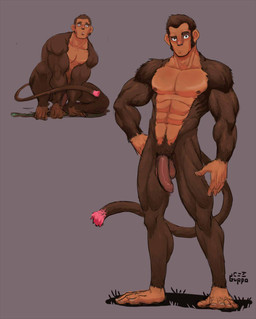 5_fingers abs anthro balls biceps biped body_hair brown_body brown_fur brown_hair brown_nipples brown_tail crouching dark_body dark_skin eyebrows feet fingers flaccid foreskin fur genitals grey_background hair hand_on_hip happy_trail humanoid_genitalia humanoid_penis looking_at_viewer male muscular muscular_anthro muscular_male nails navel nipples nude pecs penis pink_tail plantigrade prehensile_feet shadow simple_background solo standing tail tan_body tan_skin toenails toes two_tone_tail unretracted_foreskin guppo haplorhine mammal monkey primate