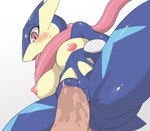 anthro blush bodily_fluids breasts duo erection female genital_fluids genitals long_tongue male male/female nipples nude penetration penis pussy sex tongue tongue_out vaginal vaginal_fluids vaginal_penetration tarian nintendo pokemon amphibian generation_6_pokemon greninja pokemon_(species)