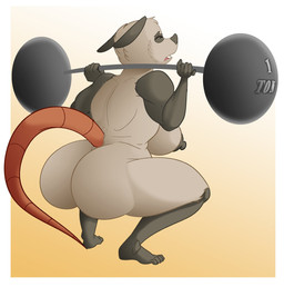 5_fingers 5_toes anthro anthrofied barbell big_breasts breasts butt crouching erect_nipples exercise eyes_closed feet female fingers frown fur huge_breasts humanoid_feet nipples nude open_mouth plantigrade simple_background solo text thick_thighs toes tongue weightlifting weights wide_hips workout el-loko poppy_opossum poppy_opossum_(character) american_opossum mammal marsupial english_text hi_res