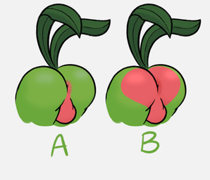 anthro anus balls butt butt_focus butt_heart comparing comparison genitals green_body leaf leaf_tail male multicolored_body red_body semi-anthro solo tail take_your_pick two_tone_body burrvert nintendo pokemon generation_3_pokemon grovyle pokemon_(species) hi_res model_sheet