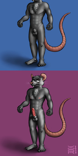 animal_genitalia balls black_balls black_body black_fur black_sheath blue_background cheek_tuft chest_tuft claws crotch_tuft erection facial_scar facial_tuft finger_claws fully_sheathed fur genitals glans green_background grey_claws head_tuft humanoid_genitalia humanoid_penis hybrid_genitalia hybrid_penis looking_at_viewer male monotone_body monotone_fur nipples penis pink_inner_ear pink_nose pink_tail purple_background red_glans red_nipples red_penis scar sheath sheathed_humanoid_penis simple_background solo standing tail tuft vein veiny_penis whiskers yookie mammal murid murine rat rodent 2015 absurd_res adobe_photoshop_(artwork) dated digital_media_(artwork) hi_res multiple_images paint_tool_sai_(artwork) signature