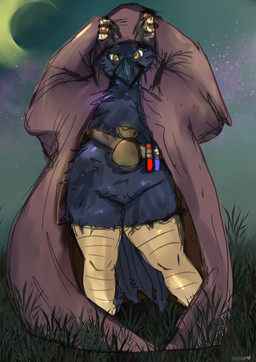 anthro bag barely_visible_genitalia barely_visible_vulva beak beak_closed belt_pouch cloak clothing feathers female fortuna_the_crow genitals heart_eyes heart_symbol looking_at_viewer magic_user mostly_nude_anthro mouth_closed night non-mammal_vulva potion scuted_legs scutes solo vulva anykoe avian bird corvid corvus_(genus) crow oscine passerine hi_res signature