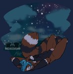 anthro cloud genitals male night nude penis sky solo star starry_sky temrin ailurid mammal red_panda