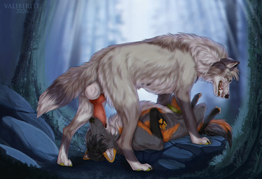 animal_genitalia balls black_body black_fur black_nose canine_genitalia claws duo erection eyes_closed fangs fellatio feral feral_on_feral feral_penetrated feral_penetrating feral_penetrating_feral forest fur genitals green_penis grey_body grey_fur knot knotted_penis looking_pleasured lying male male/male on_back oral oral_only oral_penetration pawpads penetration penile penis penis_in_mouth plant red_penis rock sex sucking tail teeth tree valiberite fin_the_fox canid canine canis mammal wolf 2026 hi_res