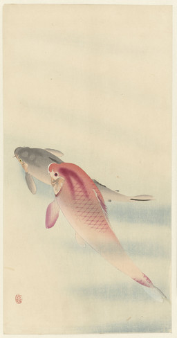 ambiguous_feral ambiguous_gender barbel_(anatomy) cjk_character dorsal_fin duo feathers feral fin flesh_whiskers gills grey_body grey_scales high-angle_view pink_body pink_scales scales simple_background tail tail_feathers ohara_koson public_domain aquatic carp cyprinid cypriniform fish 20th_century absurd_res ancient_art hi_res traditional_media_(artwork)