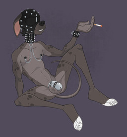 anthro bracelet chastity_cage chastity_cage_only chastity_device chastity_device_only cigarette collar ear_piercing ear_ring gimp_mask jewelry leaning leaning_backward linked_nipples lock male mask metal_chastity_cage nipple_clamp nipple_to_collar nude padlock piercing ring_piercing simple_background smoking smoking_tobacco solo studded_bracelet studded_collar studded_jewelry studs wearing_chastity_cage wearing_chastity_device cadaverrdog dutch_(cadaverrdog) bird_dog canid canine canis dalmatian domestic_dog hunting_dog labrador mammal mixed_breed retriever hi_res