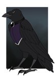 ambiguous_gender beak black_body black_feathers clothed clothed_feral clothing feathers feral solo foxenawolf isla_aukate malu_hulumanu avian bird corvid corvus_(genus) crow oscine passerine raven