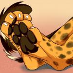 4_toes ambiguous_gender anthro barefoot biped brown_body brown_fur brown_pawpads brown_spots brown_tail claws digitigrade faceless_ambiguous faceless_character feet foot_focus foot_shot fur hindpaw markings multicolored_body multicolored_fur multicolored_tail orange_body orange_fur pawpads paws simple_background solo spots spotted_body spotted_fur tail toe_claws toes white_body white_claws white_fur white_tail ailuranthropy skips92 cheetah felid feline mammal 1:1 2016 digital_media_(artwork) signature