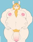 anthro areola balls beard begging belly belly_focus big_areola big_balls big_belly big_moobs big_nipples blonde_hair blue_background blush bodily_fluids body_hair chest_hair crown dialogue eyebrows facial_hair fatpad flaccid foreskin front_view frown fur genital_fluids genitals hair hand_on_belly headgear horn humanoid_genitalia humanoid_penis long_ears looking_at_viewer male mature_male moobs motion_lines narrowed_eyes navel nipple_dip nipples nude overweight overweight_anthro overweight_male penis pink_nipples precum pubes simple_background solo standing text thick_thighs throbbing throbbing_penis tuft white_body tylerstark undertale_(series) asgore_dreemurr boss_monster_(undertale) bovid caprine goat mammal 2024 english_text hi_res