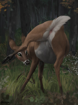 anus balls belly big_belly brown_body brown_fur cloven_hooves day detailed_background feral forest fur genitals grass green_eyes hooves male outside plant presenting presenting_anus quadruped raised_tail realistic realistic_feral rear_view solo tail tail_anus tree difetra deer mammal 2021 detailed digital_media_(artwork) digital_painting_(artwork) hi_res painting_(artwork)