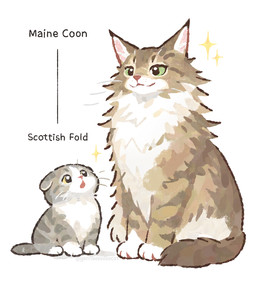ambiguous_gender duo feral floppy_ears fur looking_at_another multicolored_body multicolored_fur open_mouth quadruped simple_background sitting size_difference smile tail text whiskers white_background gentleeeeeeecat domestic_cat felid feline felis maine_coon mammal scottish_fold colored digital_drawing_(artwork) digital_media_(artwork) english_text hi_res shaded