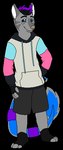 2015 aliasing alpha_channel anthro barefoot black_bottomwear black_clothing black_eyebrows black_hair black_shorts blue_markings bottomwear canid canine canis clothed clothing digital_drawing_(artwork) digital_media_(artwork) domestic_cat domestic_dog drawstring_hoodie eyebrows feet felid feline felis flat_colors full-length_portrait fully_clothed fur grey_body grey_fur grey_sclera hair hand_on_hip hand_on_own_hip highlights_(coloring) hindpaw hoodie hybrid low_res male male_anthro mammal markings paws plantigrade portrait purple_highlights sebdoggo shorts simple_background smile snout solo standing tail tail_tuft tan_nose topwear transparent_background tuft white_inner_ear