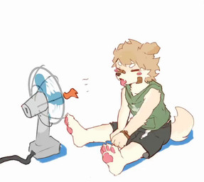 anthro black_bottomwear black_clothing black_shorts blush bottomwear brown_body brown_fur clothing electric_fan eyes_closed floppy_ears fur green_clothing green_hoodie green_topwear hoodie male shorts sitting sitting_on_ground solo tongue tongue_out topwear asenjian canid canine canis domestic_dog mammal 2025 animated high_framerate short_playtime sound video