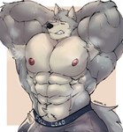 abs anthro armpit_hair barazoku biceps big_biceps big_bulge big_deltoids big_muscles big_pecs bodily_fluids body_hair bulge clothed clothing deltoids flexing fur grey_body grey_fur hair huge_bulge huge_deltoids huge_muscles huge_pecs hyper hyper_muscles looking_at_viewer male manly muscular muscular_anthro muscular_arms muscular_male nipples pecs raised_arms simple_background solo standing steam steamy_armpit sweat sweatdrop teeth underwear robinmg_45 beastars legoshi_(beastars) canid canine canis mammal wolf absurd_res digital_drawing_(artwork) digital_media_(artwork) hi_res