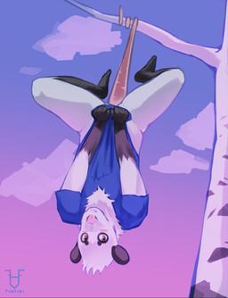 anthro blush bottomless bottomless_anthro bottomless_male clothed clothing covering covering_crotch covering_self embarrassed feet fur hanging_by_tail holding_clothing holding_object holding_shirt holding_topwear looking_at_viewer male plant shirt simple_background solo spread_legs spreading tail toes topwear tree upside_down tintiai american_opossum mammal marsupial digital_media_(artwork) hi_res