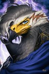 anthro beak blue_eyes electricity feathers lightning looking_at_viewer finbeard accipitrid accipitriform african_sea_eagle avian bird eagle sea_eagle digital_drawing_(artwork) digital_media_(artwork) headshot_portrait hi_res portrait