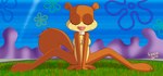 anthro blinking breasts brown_body brown_ears brown_fur brown_tail buckteeth covered_breasts covering covering_self eyelashes female female_anthro fingers flower_cloud_(spongebob) fur grass looking_up nipples pink_nose plant sitting smile solo spread_legs spreading tail teeth krezz_karavan nickelodeon spongebob_squarepants sandy_cheeks mammal rodent sciurid tree_squirrel 2015 animated dated digital_media_(artwork) short_playtime