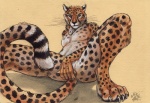 anthro balls barely_visible_balls barely_visible_genitalia biped black_nose claws covering covering_crotch covering_self digitigrade feet genitals hindpaw looking_at_viewer male paws sitting solo spread_legs spreading tail tail_between_legs toe_claws whiskers blotch cheetah felid feline mammal