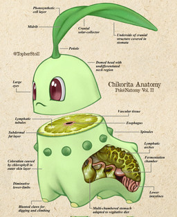 ambiguous_gender anatomy cross_section esophagus feral green_body guts intestines mouth_closed organs paper_background pupils quadruped red_eyes red_pupils side_view simple_background solo stomach tan_background text twitter_handle white_sclera christopher_stoll nintendo pokemon pokenatomy chikorita generation_2_pokemon pokemon_(species) 2022 biological_illustration copyright_name digital_drawing_(artwork) digital_media_(artwork) english_text exploded-view_drawing full-length_portrait hi_res portrait species_name technical_illustration