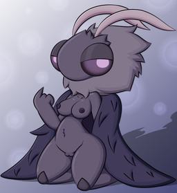 antennae_(anatomy) anthro areola biped breasts female fur genitals navel navel_piercing neck_tuft nipples nude piercing shadow solo tuft vulva zinzoa hollow_knight_(franchise) team_cherry seer_(hollow_knight) arthropod insect lepidopteran moth 2025 absurd_res hi_res