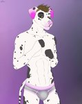 abs anthro black_body black_ears black_fur black_spots brown_eyes brown_hair bulge clothing floppy_ears fur glistening glistening_eyes hair male markings navel pink_body pink_ears pink_fur slim solo spots spotted_body spotted_ears spotted_fur teasing underwear white_body white_ears white_fur cinta halen canid canine canis dalmatian domestic_dog mammal hi_res